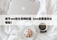 属于seo优化范畴的是（seo主要是优化哪些）