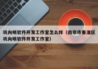 巩向明软件开发工作室怎么样（南京市秦淮区巩向明软件开发工作室）